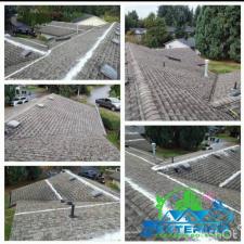 Eco Friendly Roof Treatment for Asphalt Shingles in Mukilteo, WA