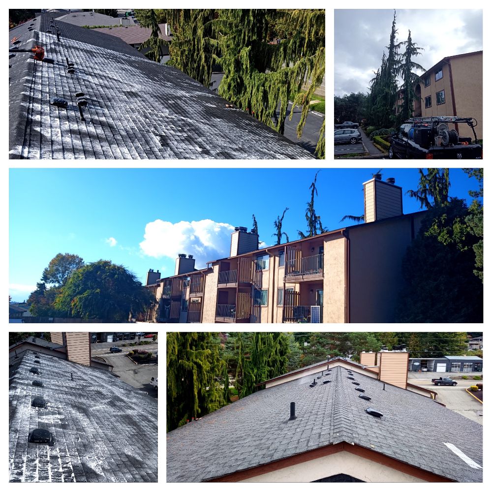 Roof cleaning comm new