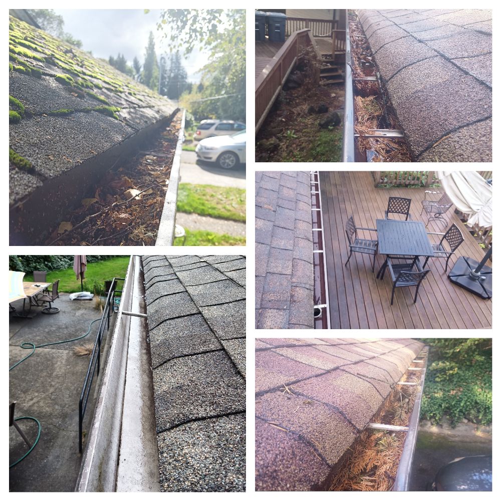 Gutter cleaning new