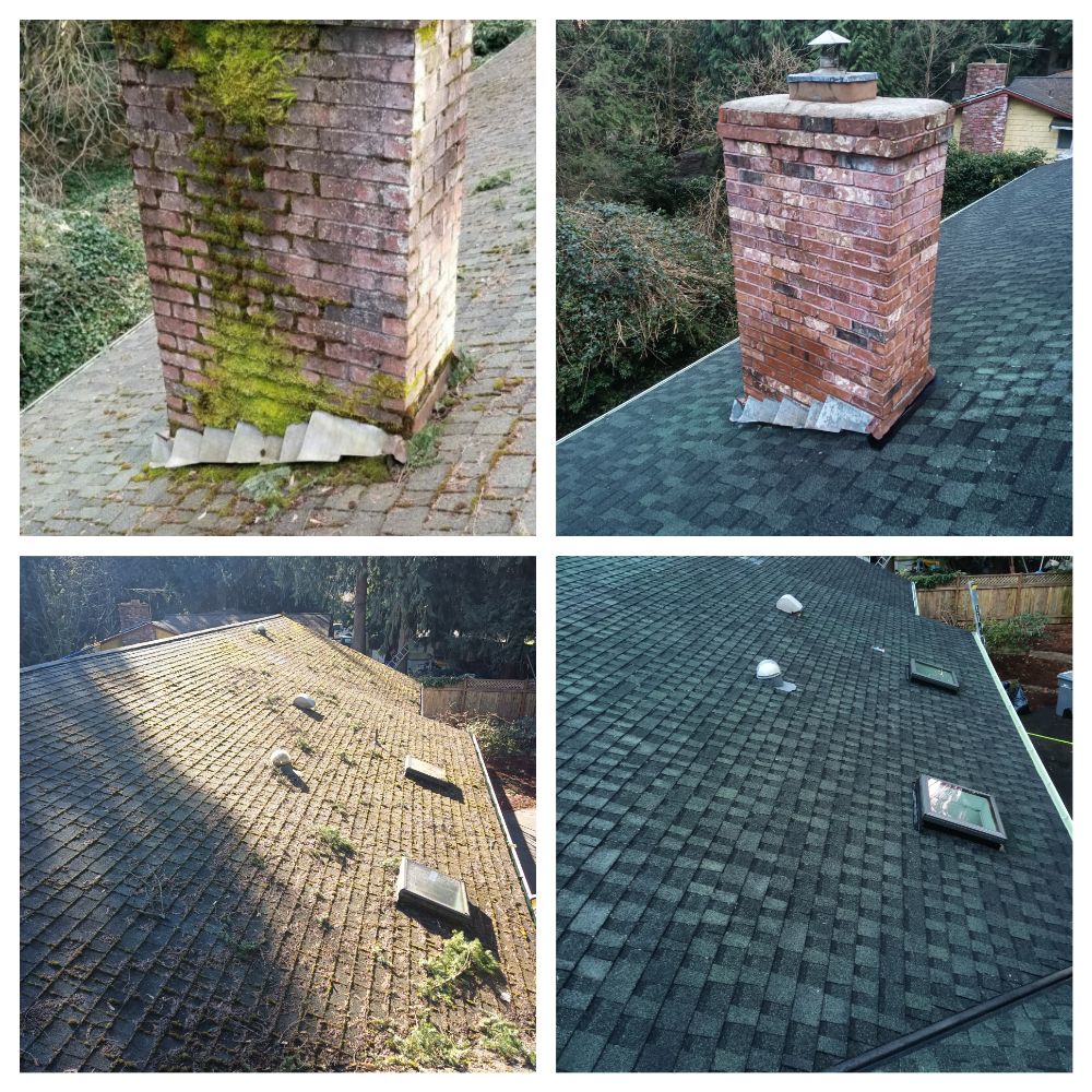 Roof cleaning new