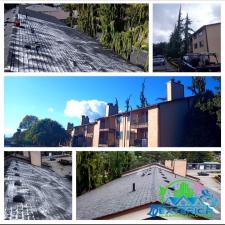 Roof-Treatment-for-Asphalt-Shingles-in-Mukilteo-WA 0